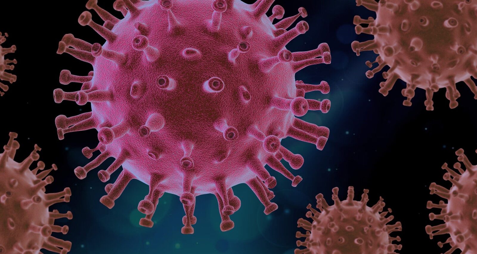 picture of corona virus